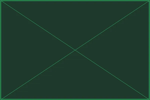 冒险者专属福利展示 - pp电子